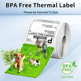 Phomemo 300DPI 4" Touchscreen Wi-Fi 4x6 Thermal Shipping Label Printer & 500Pcs 4X6 Thermal Labels