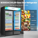 BODEGACOOLER Merchandiser Refrigerator, 40 Cu.Ft Commercial Beverage Cooler