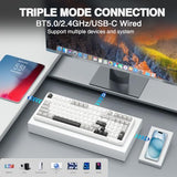 Wireless Mechanical Keyboard,Tri-Mode BT5.0/2.4GHz/USB-C Hot Swappable Custom Keyboard,Pre-lubed Linear Switches