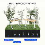 Bamboo Standing Desk, 60 x 30 Inches Whole-Piece Electric Adjustable Height Desk for Home Office