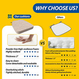 AAAAAcessories D-Shaped Chair Cushions, 2" Thick Dining Chair Pads with Ties and Removable, Oatmeal Beige