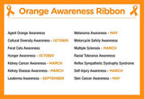 100 pack Leukemia Awareness Wholesale Pack Pins - Orange Ribbon Pins for Leukemia Awareness- Perfect for Support Groups, Events, Gift-Giving and Fundraising