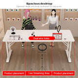 Height Adjustable Modern Gaming Desk, White Standing Desk