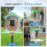 DOCOON Smart Bird Feeder with Camera, 2K HD AI Identify Birds Species, Bir d Watching Camera with Solar Panel, Instant Notifications, Ideal Present for Bir d Lover, Grass Green