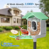 DOCOON Smart Bird Feeder with Camera, 2K HD AI Identify Birds Species, Bir d Watching Camera with Solar Panel, Instant Notifications, Ideal Present for Bir d Lover, Grass Green