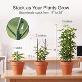 Plant Stakes for Indoor Plants Adjustable to 25" with Trellis & Clips