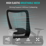 SUNNOW Office Chair, Ergonomic Computer Desk Chair