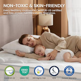 BedStory Extra Firm King Mattress 14 inch - Pain-Relieving Hybrid Mattress for Extra Lumbar & Hip Support