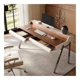 zhongxlla Standing Desk, Modern Home Office Desk with Storage, Stable Metal Frame