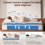 SLEEP100 King Mattress, 14 Inch 5-Zone Deep Sleep Firm Mattress with Extra Lumbar & Shoulder Support