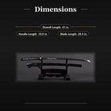 Aeolus Katana, 1095 High Carbon Steel Hand Forged Full Tang Japanese Sword