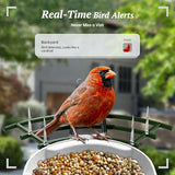 DOCOON Smart Bird Feeder with Camera, 2K HD AI Identify Birds Species, Bi rd Watching Camera with Solar Panel, Instant Notifications, Ideal Present for Bird Lover, Dark Green