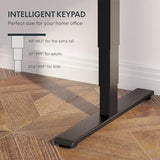 FLEXISPOT E6 3-Stage Dual Motor Electric Standing Desk 55 x 28 Sit Stand Up Desk