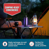 Flowtron 2-in-1 Tri-Fold Bug Zapper Racket | Portable Insect Killer with UV Light, 2100 Sq Ft Coverage, 3-Hour 2000mAh Rechargeable Battery, Compact Travel Design