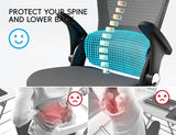TRALT Office Chair - Ergonomic Office Chair with Back Support, Home Office Desk