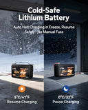 Litime 12V 100Ah Trolling Motor LiFePO4 Battery for Marine, Boat (3-Pack)
