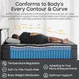 14 inch Medium Firm Mattress Queen, Hybrid Mattress with Back and Lumbar Hip Support