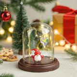 H&D HYALINE & DORA 3 x 4 Inch Clear Watch Glass Display Dome Cloche With Hook and Wooden Base, Bell Terrarium Jar for Watch Plants Medals Photos Collectibles