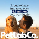 PetLab Co. Salmon Bites for Dogs – Rich in Beneficial Fatty Acids, Vitamins & Minerals - Premium Salmon Dog Treats Your Pup Will Drool Over - Carefully Selected Ingredients – Delicious Reward