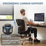 DUMOS Big and Tall Office Desk Chair with Lumbar Support, 500lbs Heavy Duty Mesh Ergonomic Computer Chair