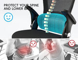 TRALT Office Chair - Ergonomic Office Chair with Back Support