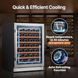 Ca'Lefort 24 Inch Wine Fridge, 61-Bottle Wine Cooler Refrigerator