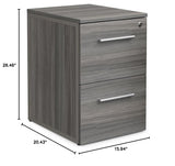 NBF File Cabinet 2 Drawer Office Storage Pedestal with Locking Drawer, Gray