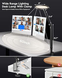 LED Desk Lamp for Home Office, Eye-Care Double-Sided Desk Light with Stepless Dimmable Knob Remote