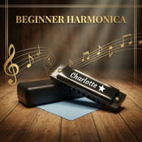 Personalized custom professional tuning harmonica - 10-hole - C key stainless steel harmonica, suitable for beginners, students, and as a gift for friends. It is a meaningful musical instrument gift.