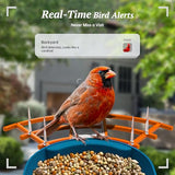 DOCOON Smart Bird Feeder with Camera, 2K HD AI Identify Birds Species, Bird Watching Camera with Solar Panel, Gift for Mom Dad Birdlovers