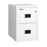 FireKing Turtle Vertical 2 Drawer Legal and Letter Fire Safe File Cabinet with Key Lock, 1 Hour Fire Rated