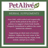 PetAlive Pancreas Booster - All Natural Herbal Supplement for Pancreatic Health and Digestive Functioning in Cats and Dogs - Supports Healthy Insulin Production - 60 Veggie Caps