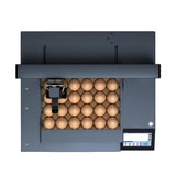 SYXINGL Single Head Auto Egg Inkjet Printer Inkjet Logo Barcode Printing Coding Machine