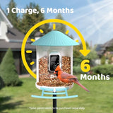 NETVUE by Birdfy Smart Bird Feeder with Camera – AI Identifies Birds Species 2MP Night Vision & App Alerts, 2.4Ghz Wi-Fi Connect IP65 Weatherproof Bird Camera-Gift for Backyard BirdWatchers, Blue
