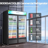 BODEGACOOLER Merchandiser Refrigerator, 40 Cu.Ft Commercial Beverage Cooler