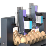 SYXINGL Single Head Auto Egg Inkjet Printer Inkjet Logo Barcode Printing Coding Machine