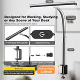 Airlonv LED Desk Lamp for Office Home, Eye-Caring Desk Light with Stepless Dimming Adjustable Flexible Gooseneck, 10W USB Adapter (Black)