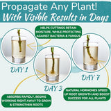 Houseplant Prop Drops – Rooting Hormone for Cuttings & Propagation Promoter | Root Growth Hormone & Root Stimulator | Supports Faster Root Development in Water & Soil Propagation | 8 oz