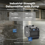 ALORAIR 145 Pints Crawlspace Dehumidifier with Pump, Galaxy 60P