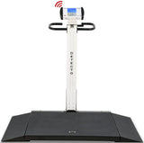 Detecto 6550 Portable Electronic Physician's Wheelchair Weigh Scale