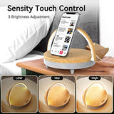 Bedside Table LED Night Light with Wireless Charger and Bluetooth Speaker, Desk Lamp As Sleep Aid White Noise Machine（Music Upgrade）