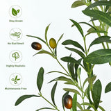 Waipfaru Artificial Olive Tree, 6FT Tall Faux Olive Trees with Planter & Basket, Artificial Plants Indoor with Natural Wood Trunk and Realistic Fruits for Home Decor Office Living Room