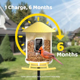 NETVUE by Birdfy AI Smart Bird Feeder with Camera, AI Auto Capture Each Bird Visit & Identify 6000+ Species, Cloud Store & Live Birdwatching, Ideal Gift (Yellow)
