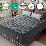 14 inch Medium Firm Mattress Queen, Hybrid Mattress with Back and Lumbar Hip Support