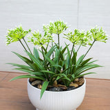 HIFORESTAR 8 Bundles Artificial Flowers Plants for Outdoor Planters | 18.9 in Green Large Fake Flowers | Spring Summer Look Real Plasic Faux Plant for Front Porch Pathway Garden Patio (Green)