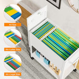 Mobile File Cart, 2-Tier Rolling File Cart with Wheels Hanging Files