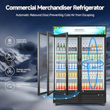 BODEGACOOLER Merchandiser Refrigerator, 40 Cu.Ft Commercial Beverage Cooler