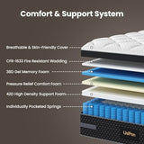 Medium Firm Queen Size Mattress, 14 inch Hybrid Mattress in a Box with Zoned Lumbar Support for Side Sleepers