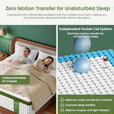 BedStory 13 Inch Firm Full Mattress