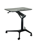 NIUDHEUS Steel Mobile Lap Standing Desk
